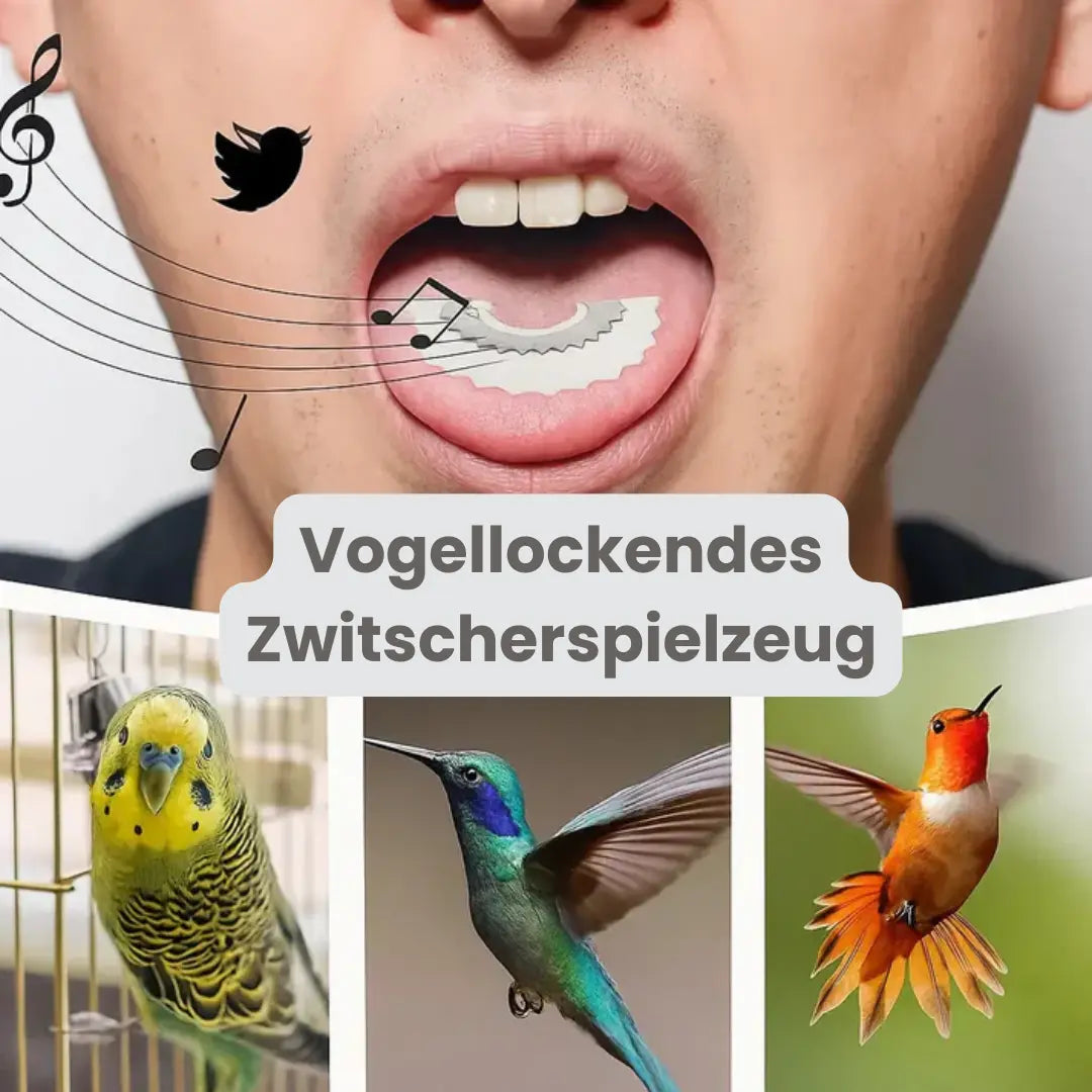 1+1 Gratis | BirdWhistle™ – Zwitscherndes Gartenspielzeug