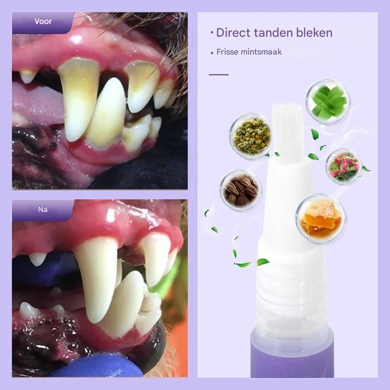 1+1 Gratis | OralShine™ – Zahnpflege-Gel für Haustiere