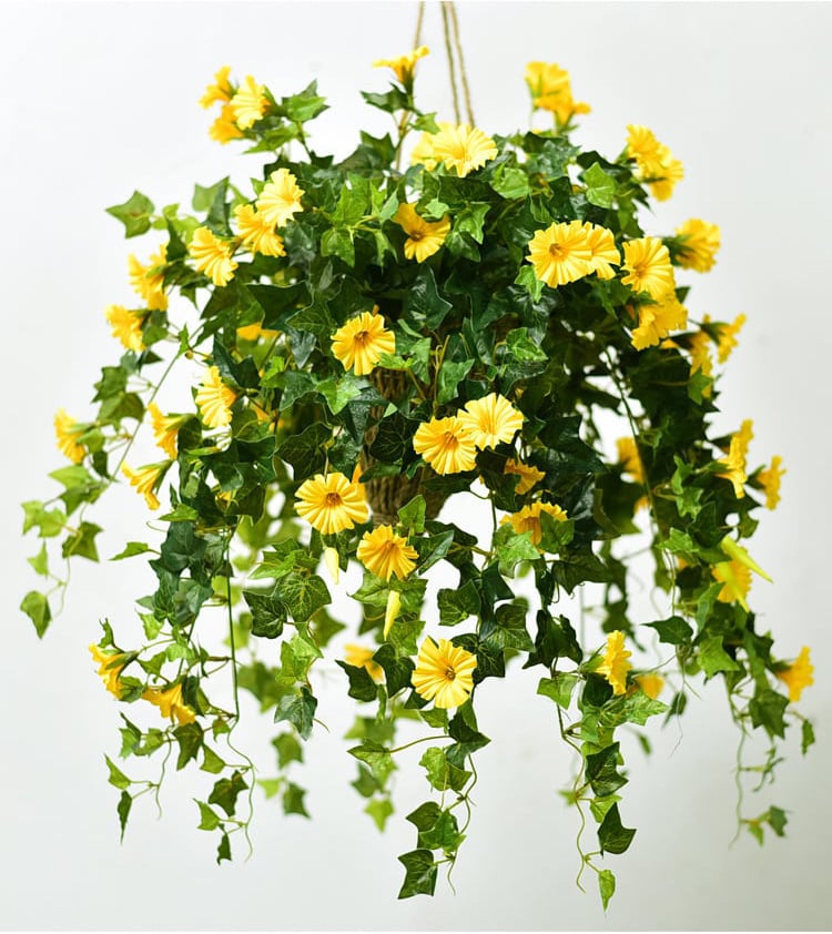 FlowerGlow™ – Ewig blühende Prunkwinde für Eleganz im Innen- und Außenbereich