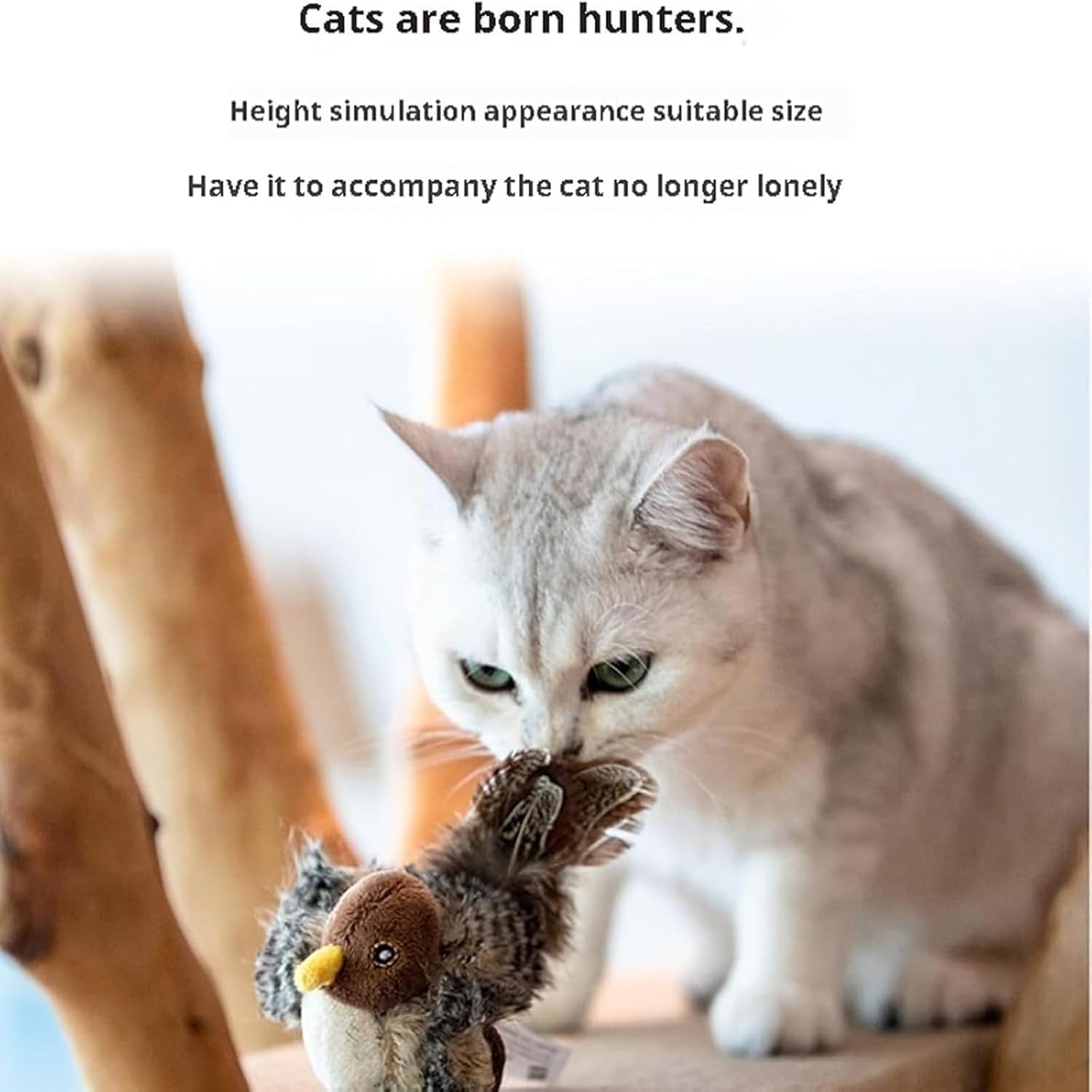BirdFly™ – Erwecken Sie die wilden Instinkte Ihrer Katze