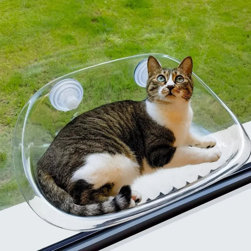 CatRelax™ – Die perfekte Fensterhängematte für Ihre Katze