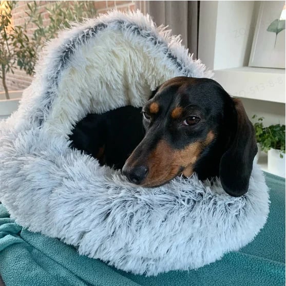 PawsSnuggy™ – Beruhigendes Haustierbett gegen Angstzustände