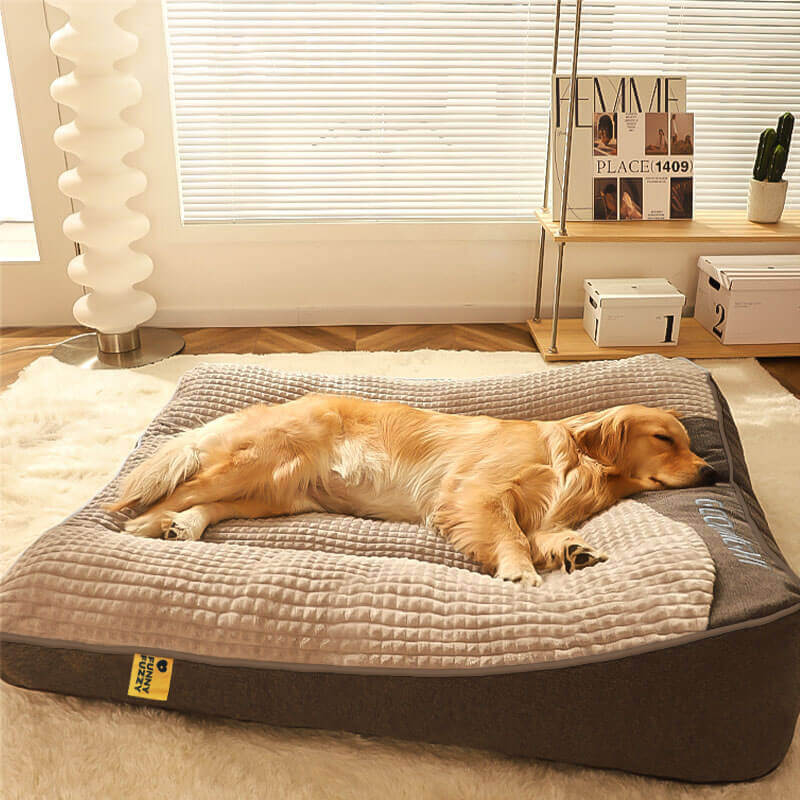Luksuriøs, ridsefast hundeseng med ortopædisk hovedstøtte. Stor, behagelig pude for optimal hundekomfort.