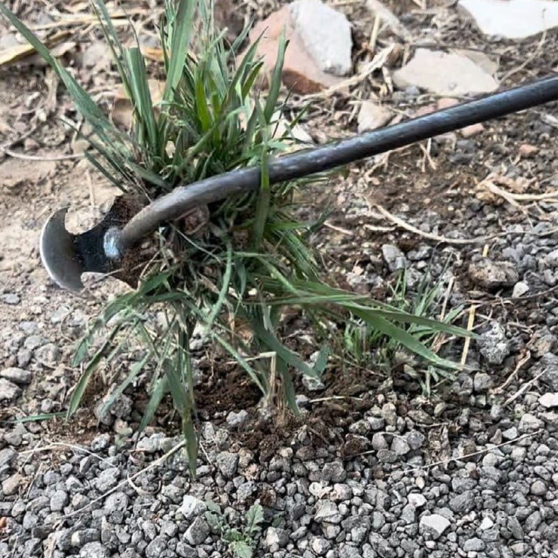 ForkGrassy™ – Tragbare Handhacke zum Jäten