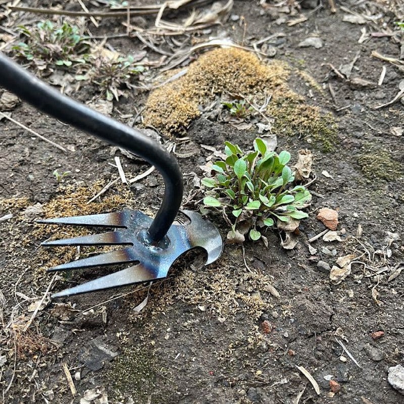 ForkGrassy™ – Tragbare Handhacke zum Jäten