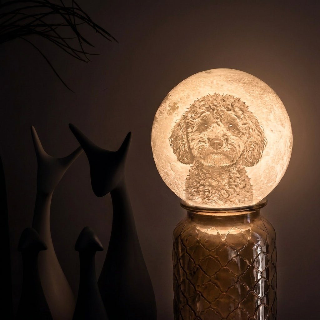 Personalisierte 3D Foto Mondlampe - Das Original von Waagemann - Waagemann