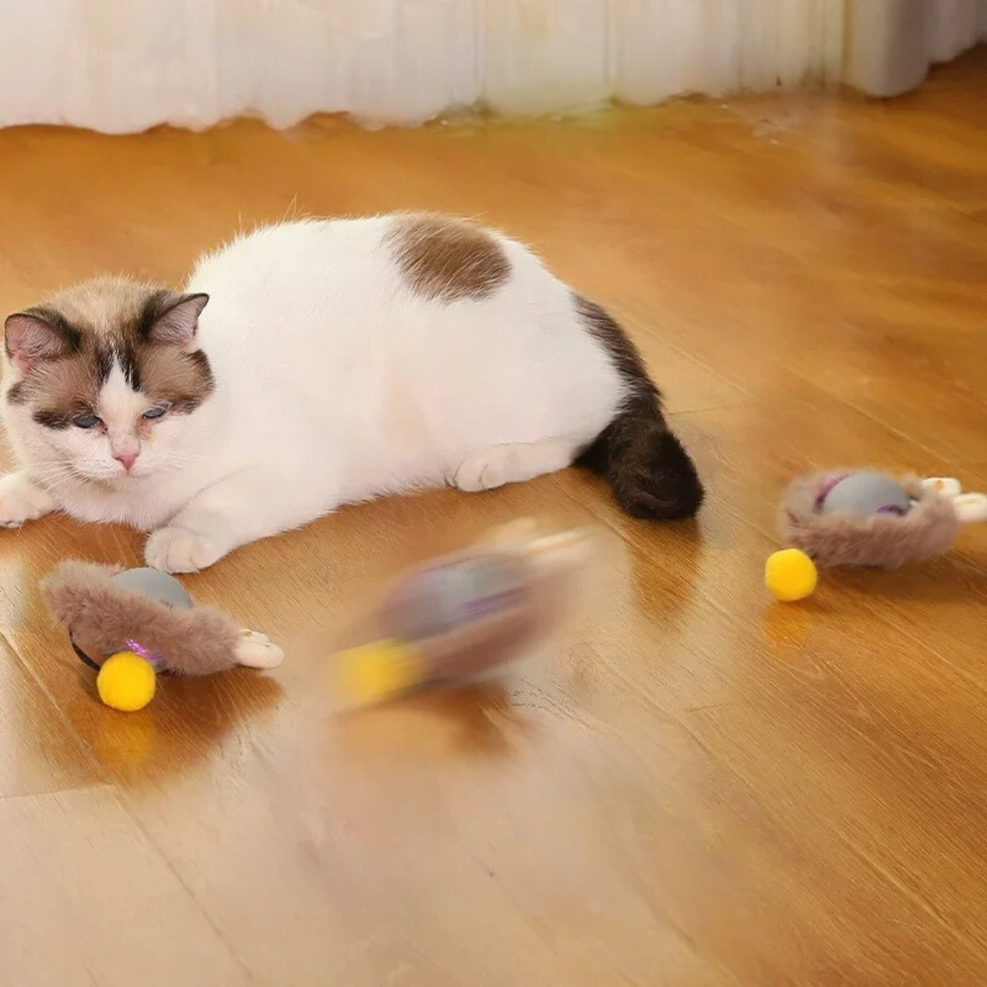 TwirlerKitty™ – Interaktiver Katzenspielball