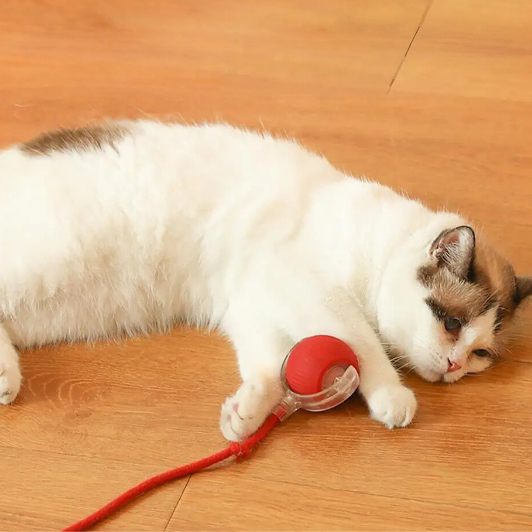 TwirlerKitty™ – Interaktiver Katzenspielball