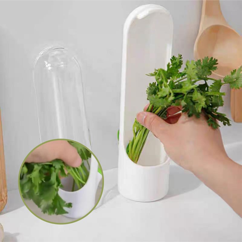 HerbFresh™ - Frischhaltebehälter für Kräuter