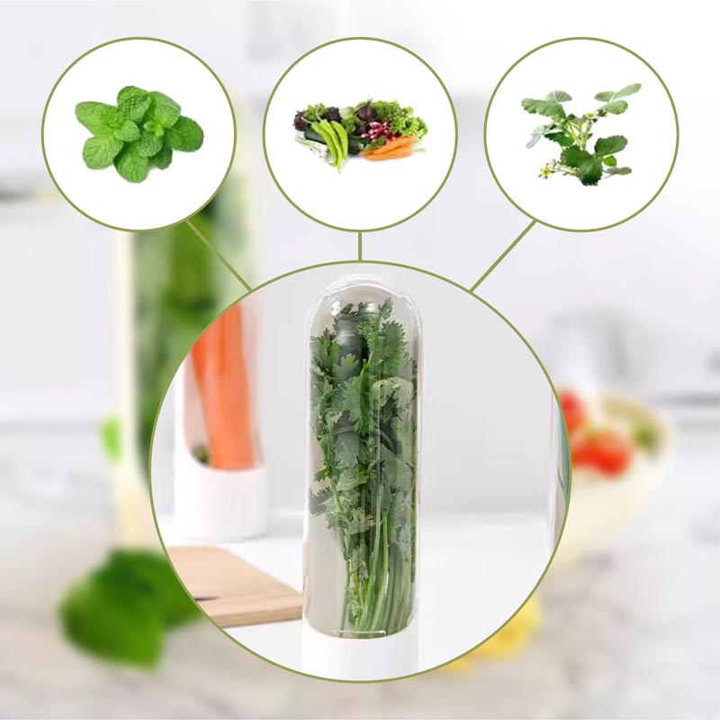 HerbFresh™ - Frischhaltebehälter für Kräuter