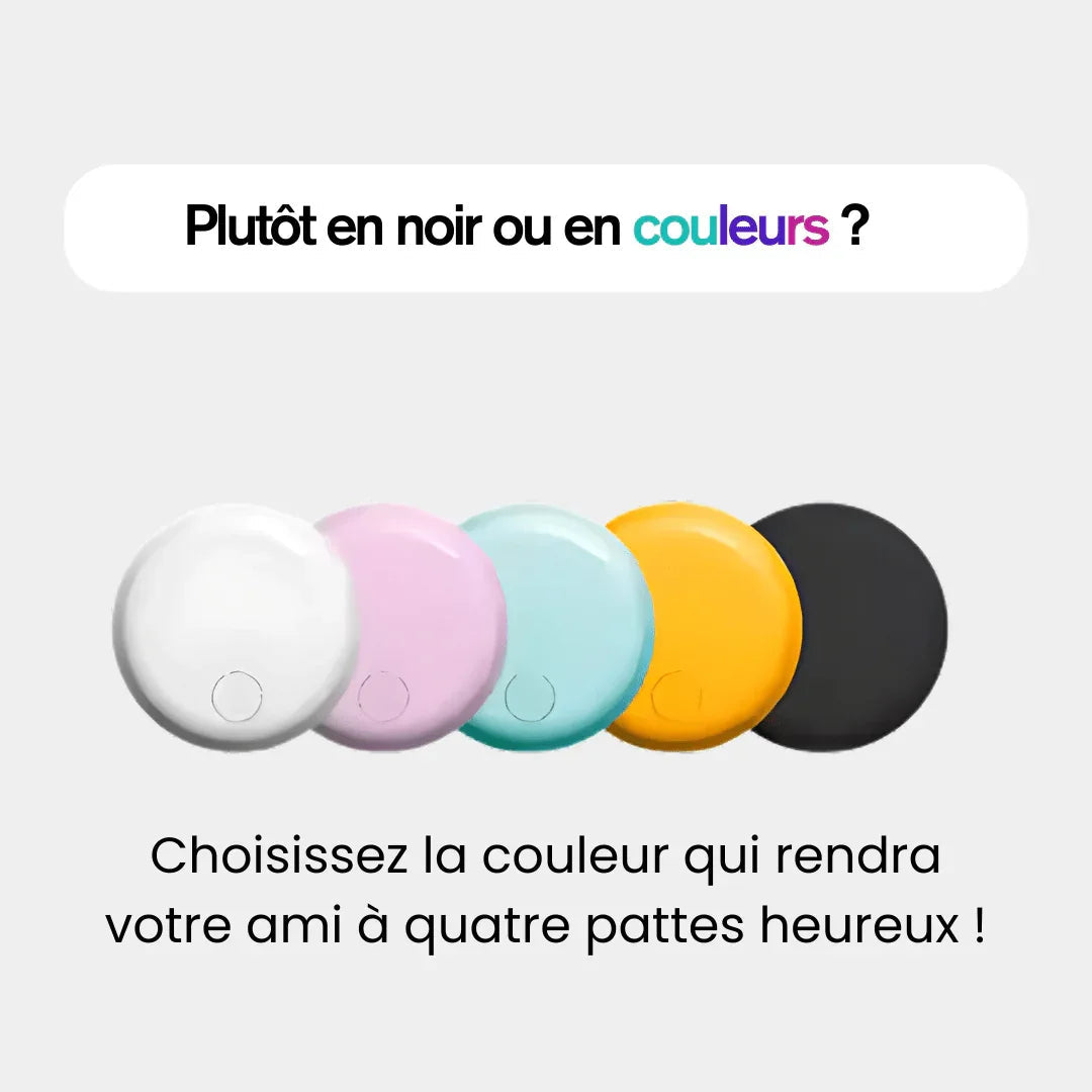 Traceur GPS pour Chien 3 en 1 - Rondor - ANDROID / iOS - Rondor