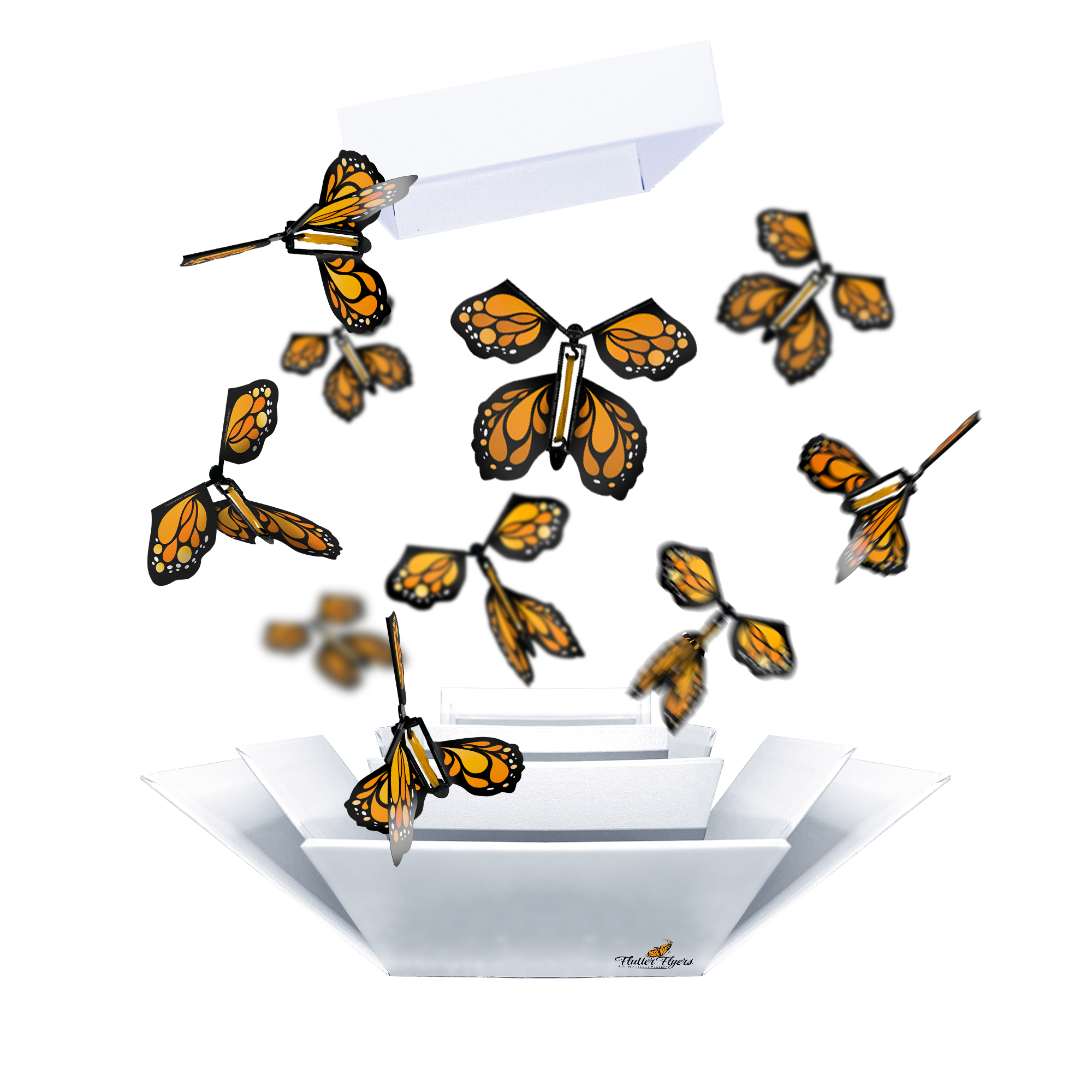 WonderFly™ - Magische Schmetterlingsflugkarten Set